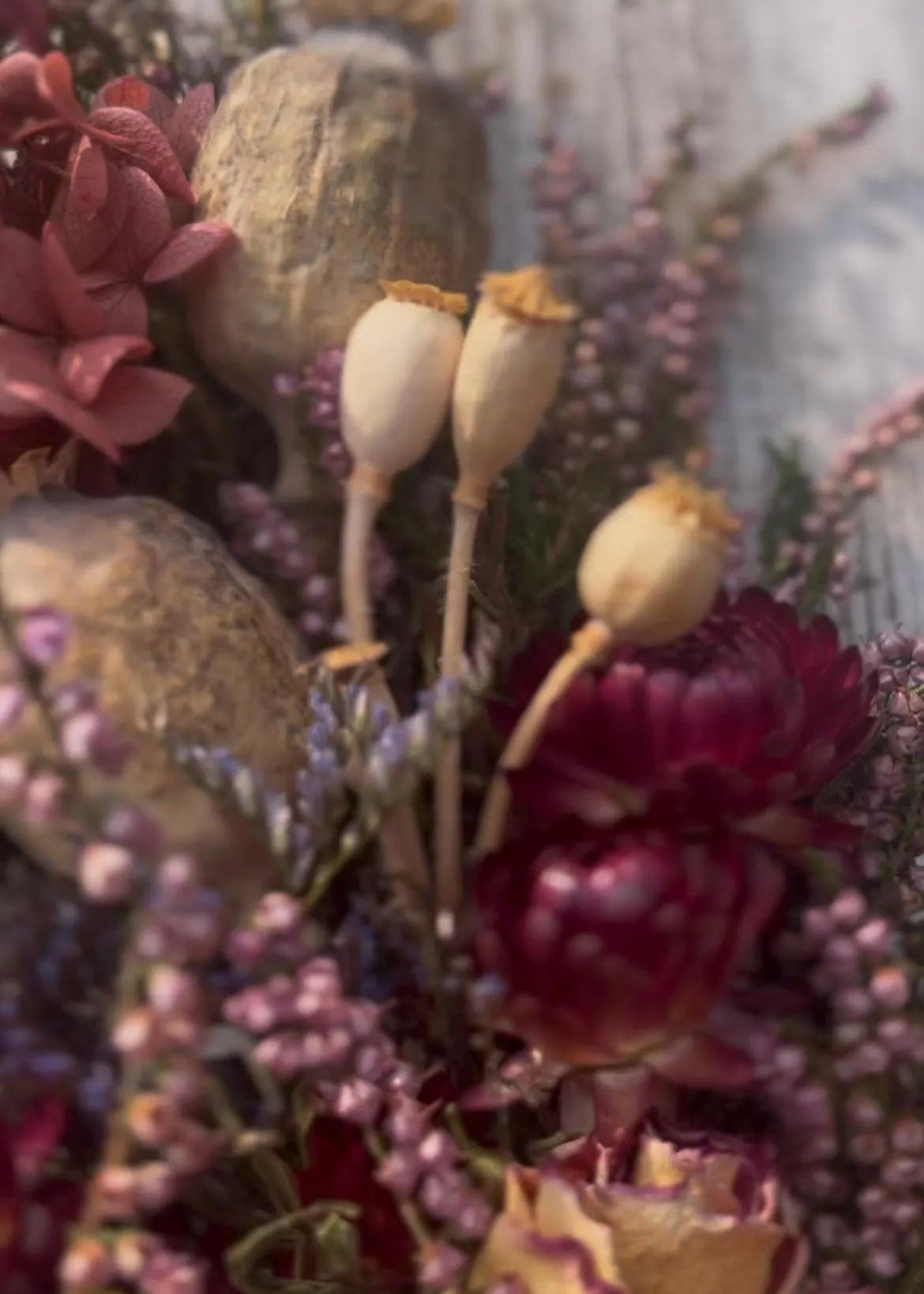 Close-up of dried flowers and plants with a focus on texture and color.