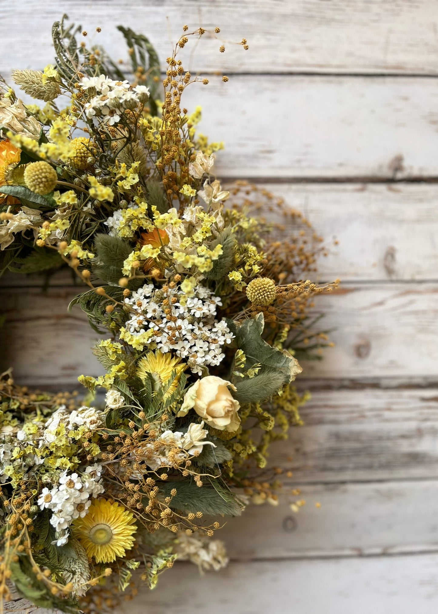 Dried Flower Wreath Gemini - (May 21 - Jun 20)