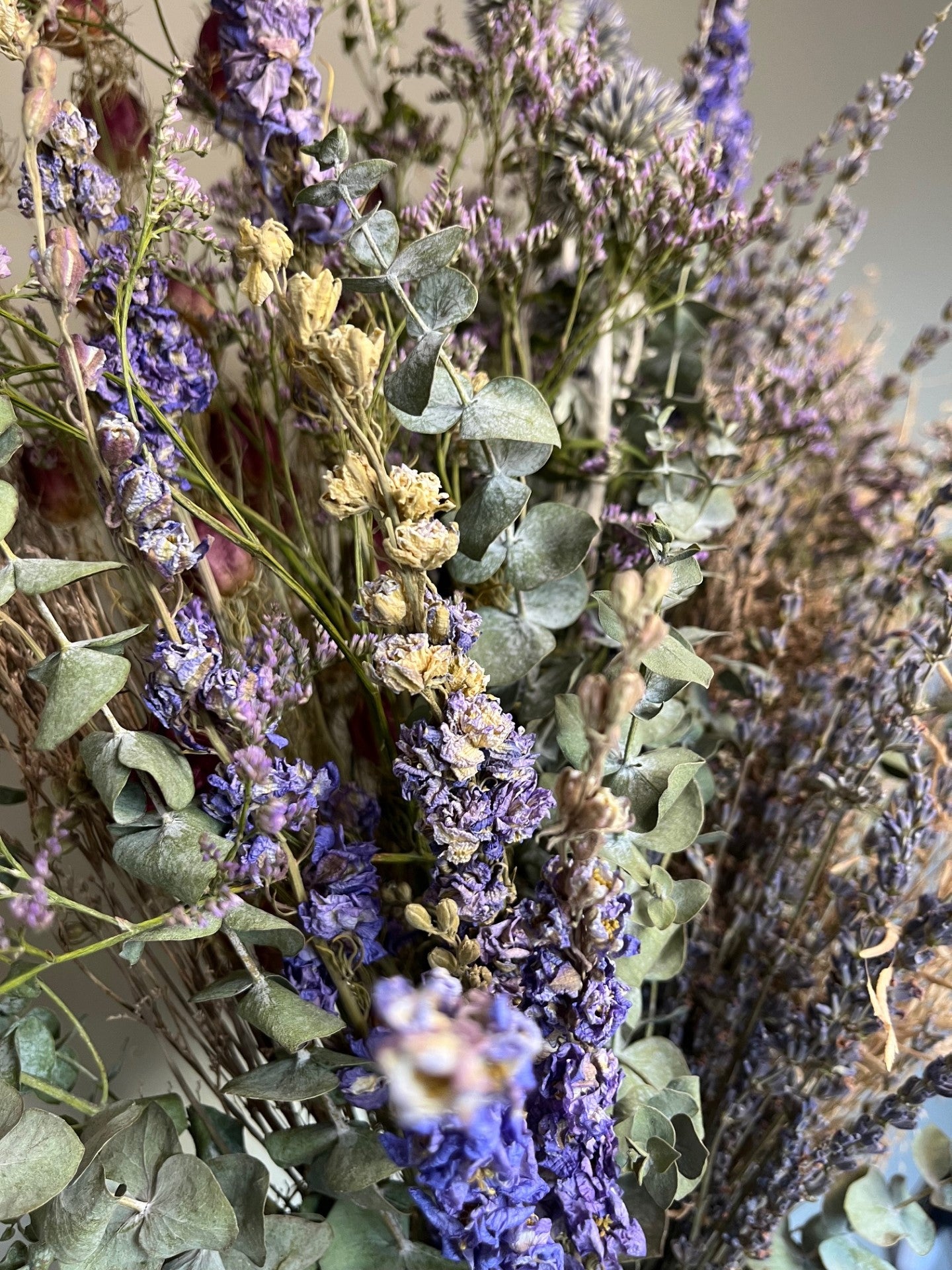 Lavender Fields