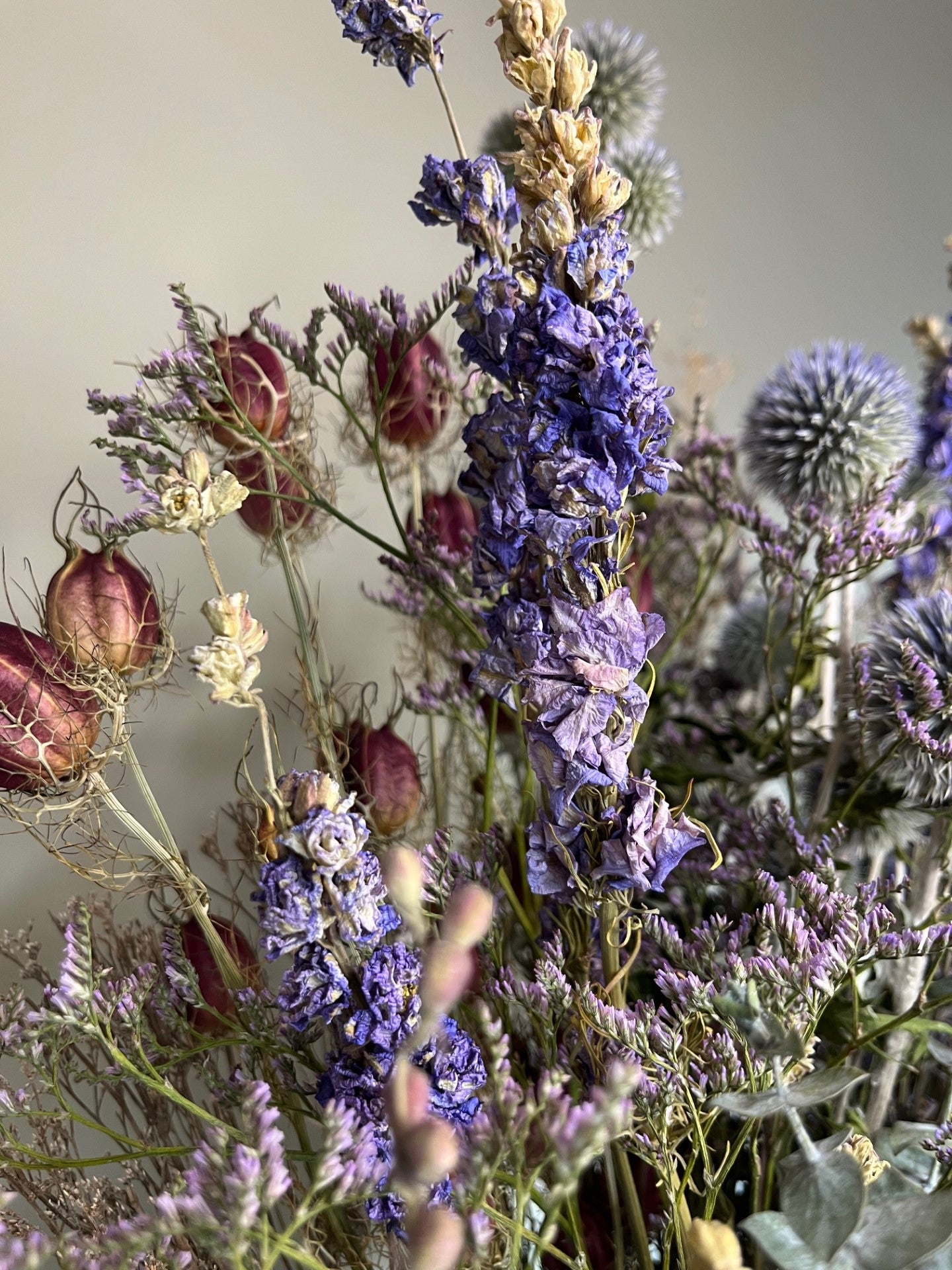 Lavender Fields