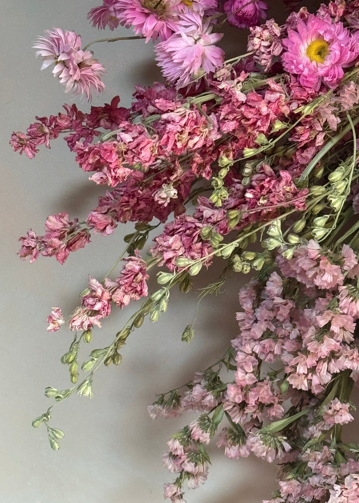 Bouquet of pink and red flowers on a light gray background