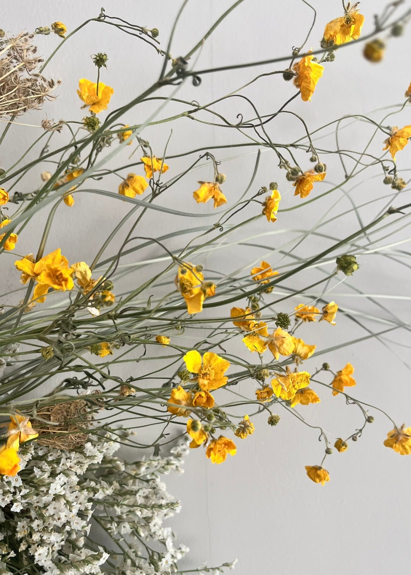 Yellow flowers and green stems against a light gray background
